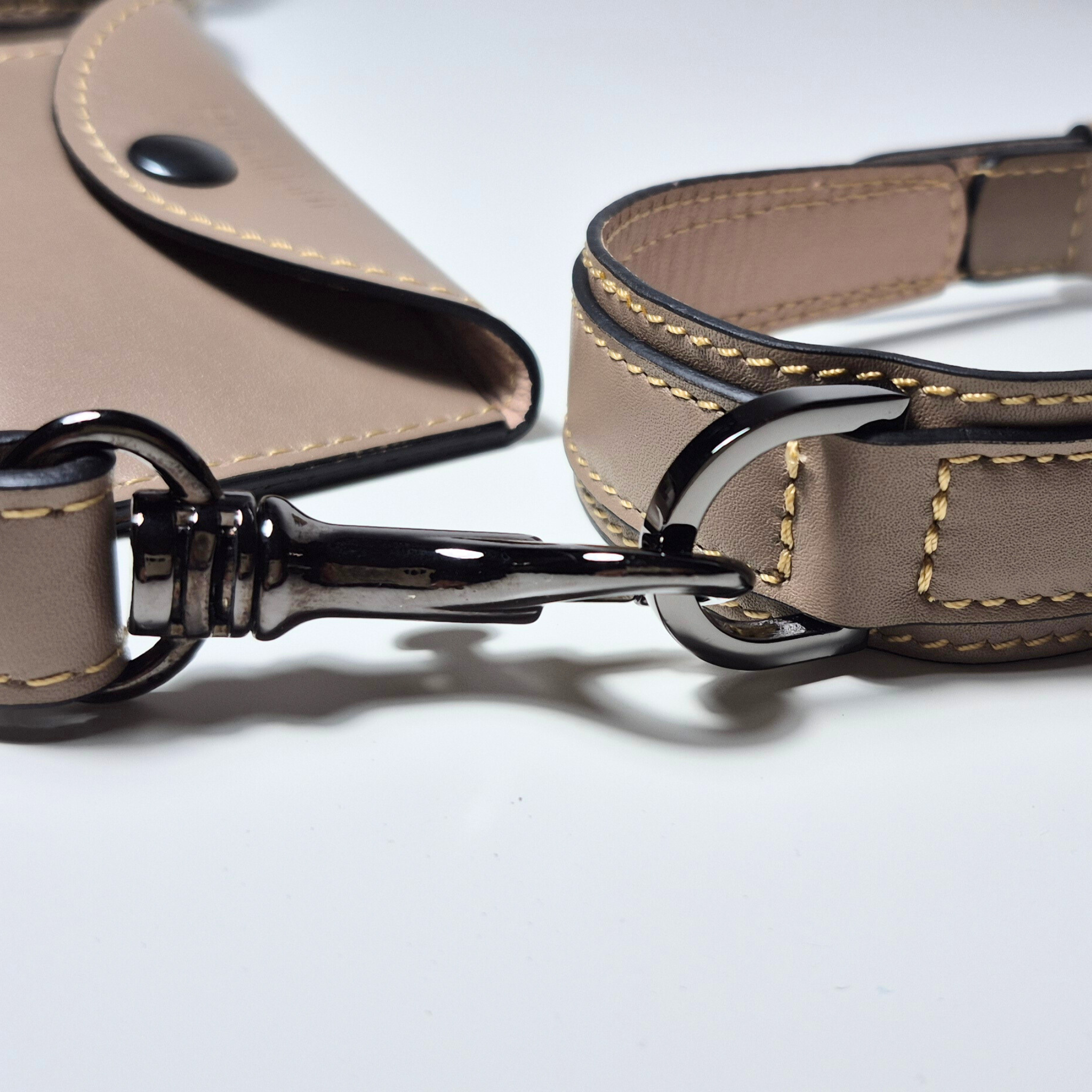 Set Collare e Guinzaglio in Pelle con Porta Sacchetti